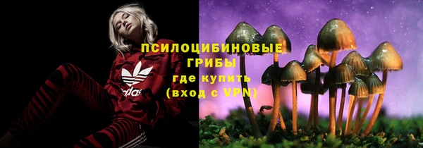 герыч Бронницы