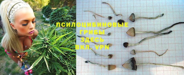 герыч Бронницы
