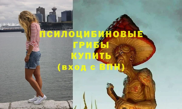 mdpv Верея